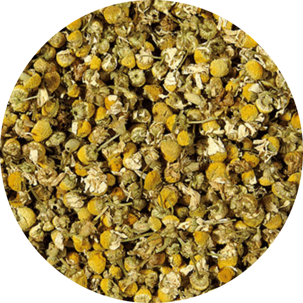 Manzanilla seca en flores enteras y troceadas de color amarillo y verde clara.